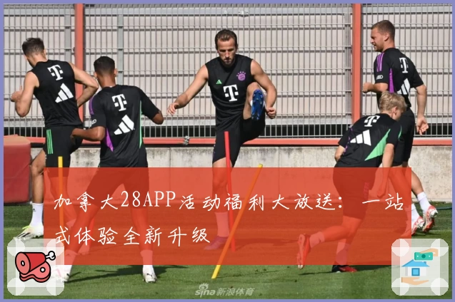 加拿大28APP活动福利大放送：一站式体验全新升级