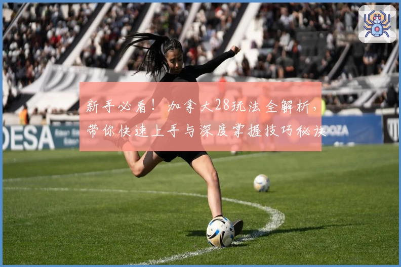 新手必看!加拿大28玩法全解析,带你快速上手与深度掌握技巧秘诀