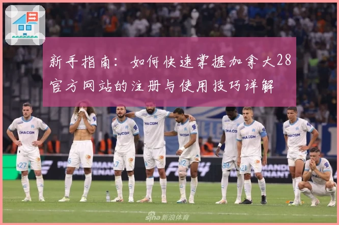 新手指南：如何快速掌握加拿大28官方网站的注册与使用技巧详解