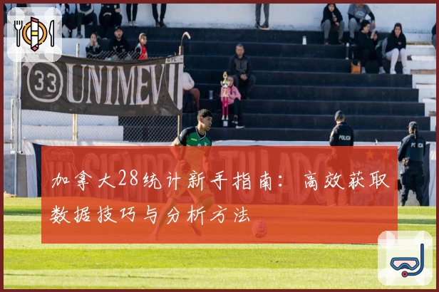 加拿大28统计新手指南：高效获取数据技巧与分析方法