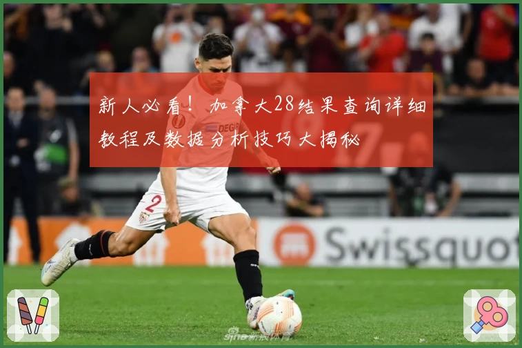 新人必看！加拿大28结果查询详细教程及数据分析技巧大揭秘