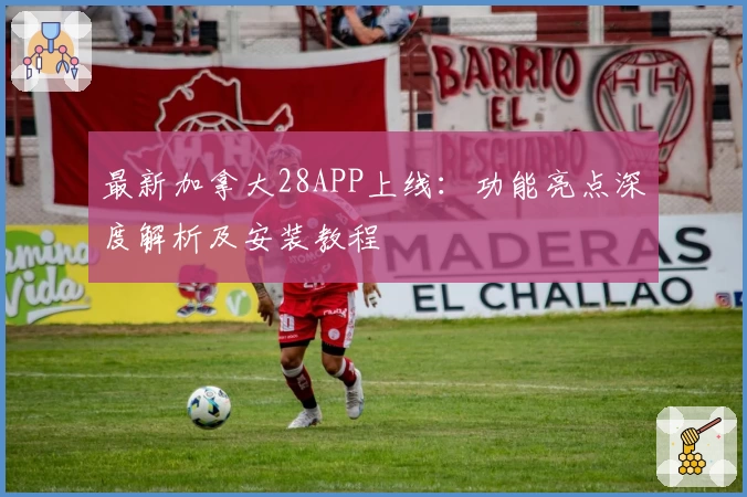 最新加拿大28APP上线：功能亮点深度解析及安装教程