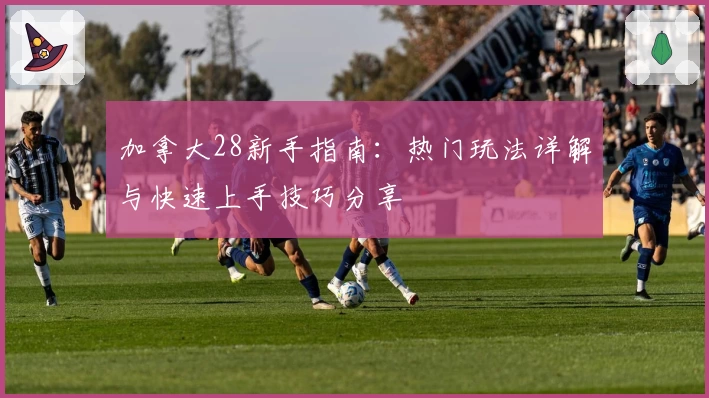 加拿大28新手指南：热门玩法详解与快速上手技巧分享