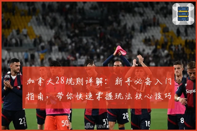 加拿大28规则详解：新手必备入门指南，带你快速掌握玩法核心技巧