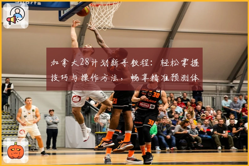 加拿大28计划新手教程：轻松掌握技巧与操作方法，畅享精准预测体验