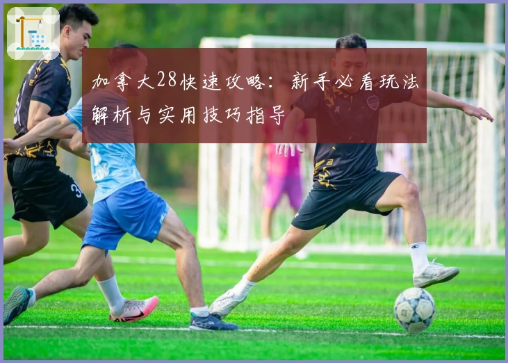 加拿大28快速攻略：新手必看玩法解析与实用技巧指导