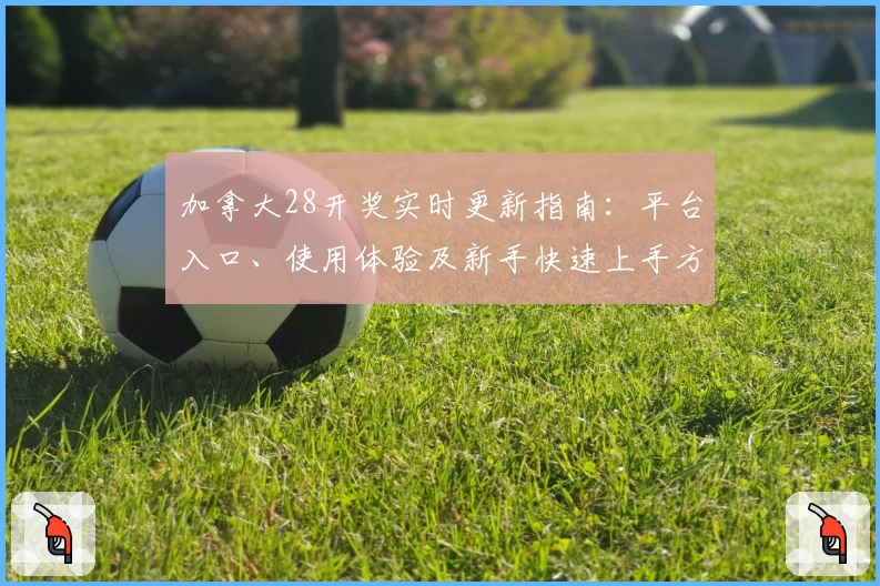 加拿大28开奖实时更新指南：平台入口、使用体验及新手快速上手方法解析