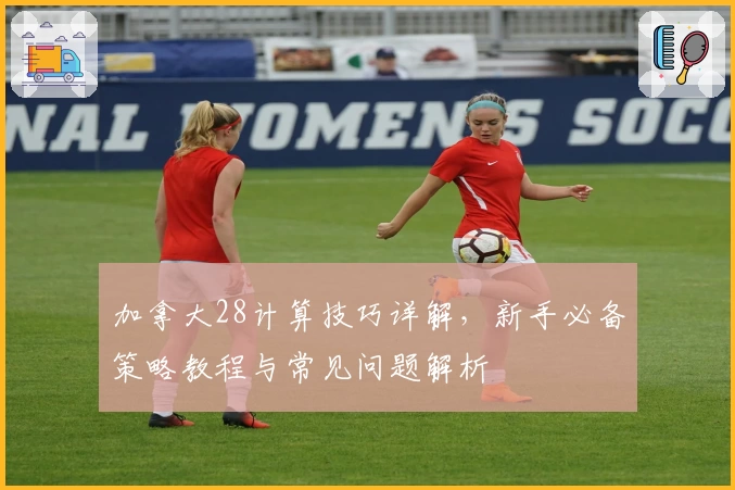 加拿大28计算技巧详解，新手必备策略教程与常见问题解析