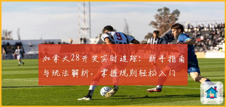 加拿大28开奖实时追踪：新手指南与玩法解析，掌握规则轻松入门