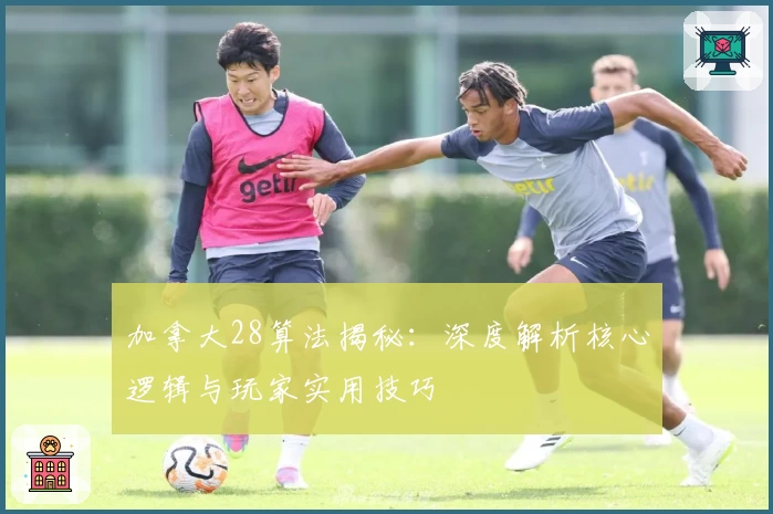 加拿大28算法揭秘：深度解析核心逻辑与玩家实用技巧