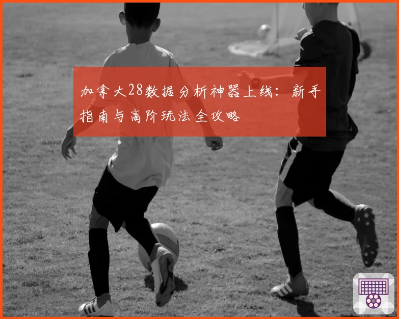 加拿大28数据分析神器上线:新手指南与高阶玩法全攻略