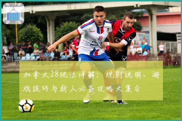 加拿大28玩法详解：规则说明、游戏技巧与新人必备攻略大集合