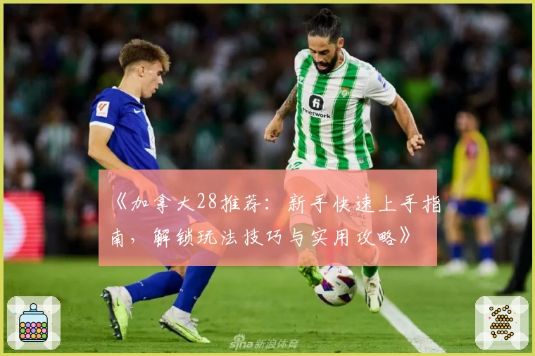 《加拿大28推荐：新手快速上手指南，解锁玩法技巧与实用攻略》