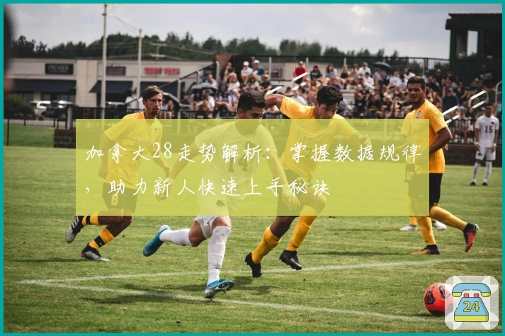 加拿大28走势解析：掌握数据规律，助力新人快速上手秘诀