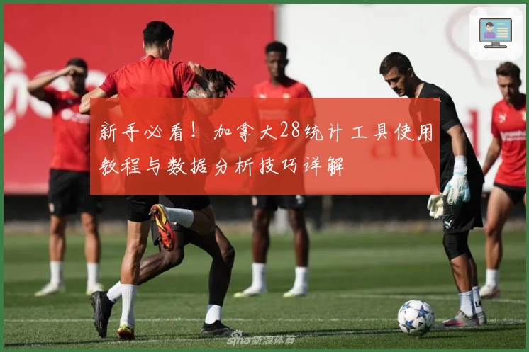 新手必看！加拿大28统计工具使用教程与数据分析技巧详解