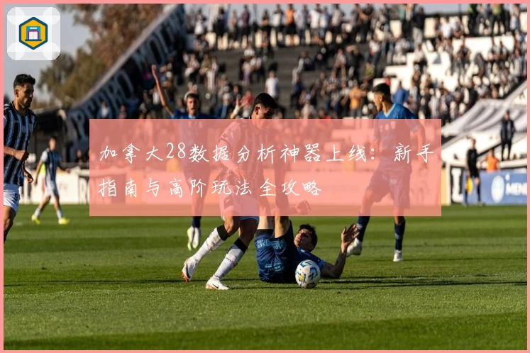 加拿大28数据分析神器上线:新手指南与高阶玩法全攻略