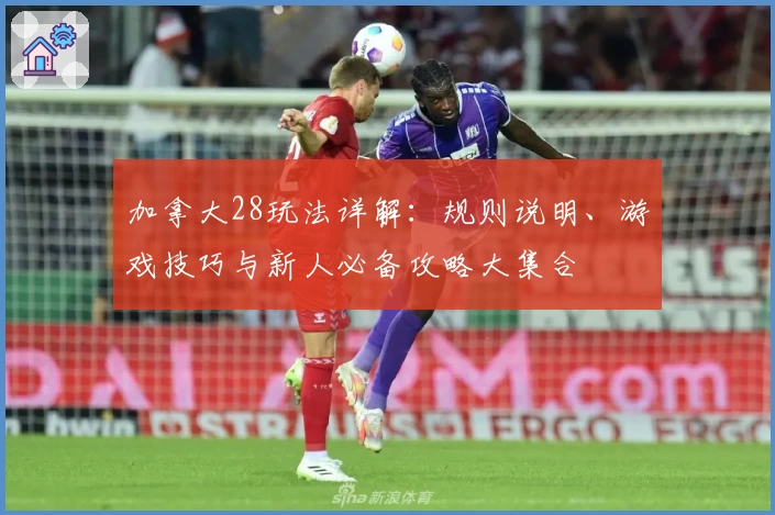 加拿大28玩法详解：规则说明、游戏技巧与新人必备攻略大集合