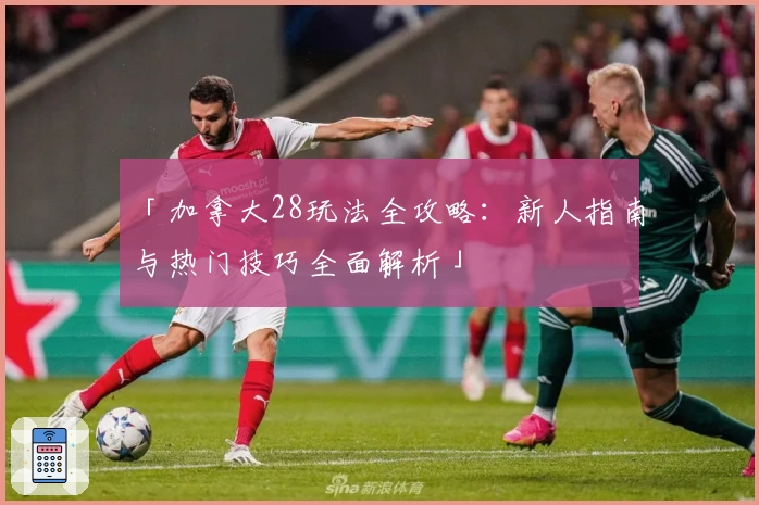 「加拿大28玩法全攻略:新人指南与热门技巧全面解析」