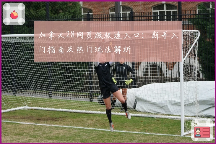 加拿大28网页版极速入口：新手入门指南及热门玩法解析