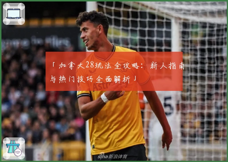 「加拿大28玩法全攻略:新人指南与热门技巧全面解析」