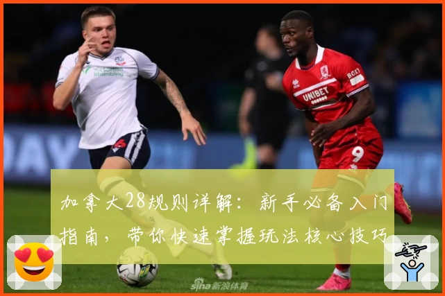 加拿大28规则详解：新手必备入门指南，带你快速掌握玩法核心技巧