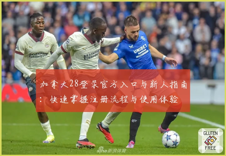 加拿大28登录官方入口与新人指南:快速掌握注册流程与使用体验
