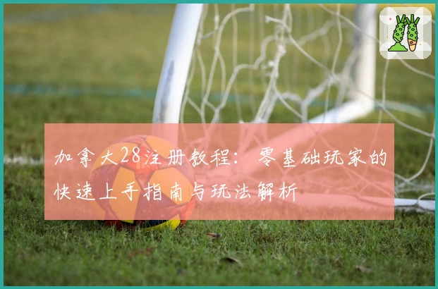 加拿大28注册教程:零基础玩家的快速上手指南与玩法解析