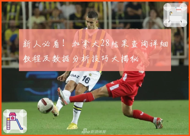 新人必看！加拿大28结果查询详细教程及数据分析技巧大揭秘