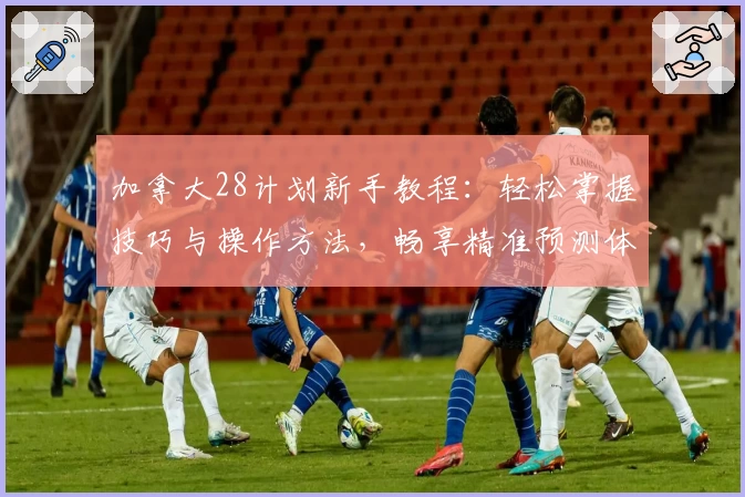 加拿大28计划新手教程：轻松掌握技巧与操作方法，畅享精准预测体验