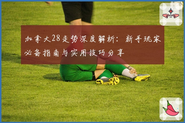 加拿大28走势深度解析：新手玩家必备指南与实用技巧分享