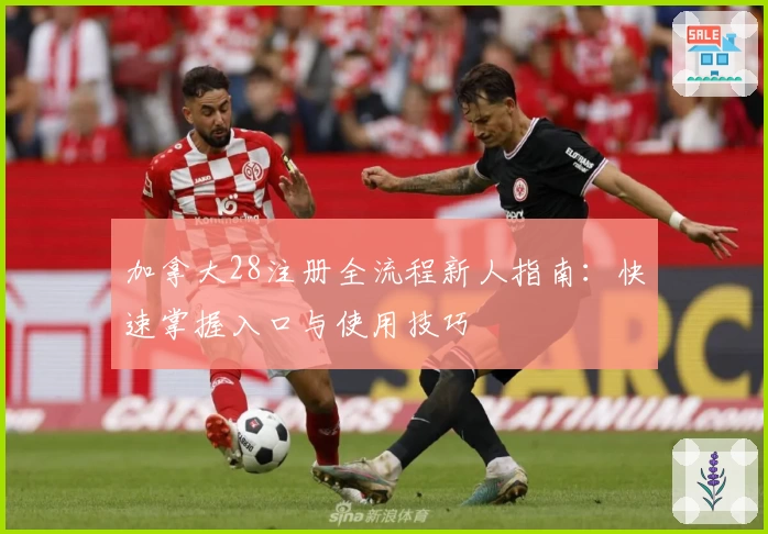 加拿大28注册全流程新人指南：快速掌握入口与使用技巧