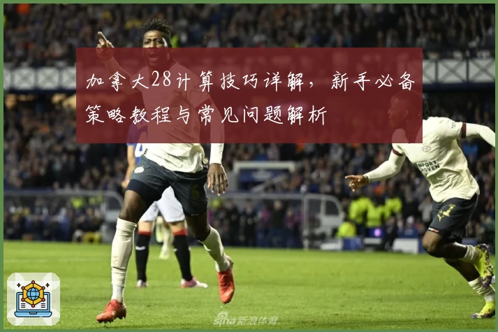 加拿大28计算技巧详解，新手必备策略教程与常见问题解析